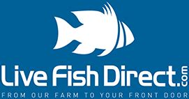 Live fish direct - buy live fish direct from the fish farm delivered to your door!
